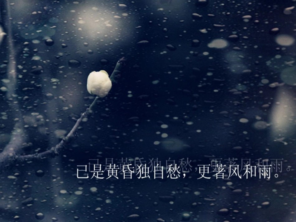 04.卜算子咏梅_第3页