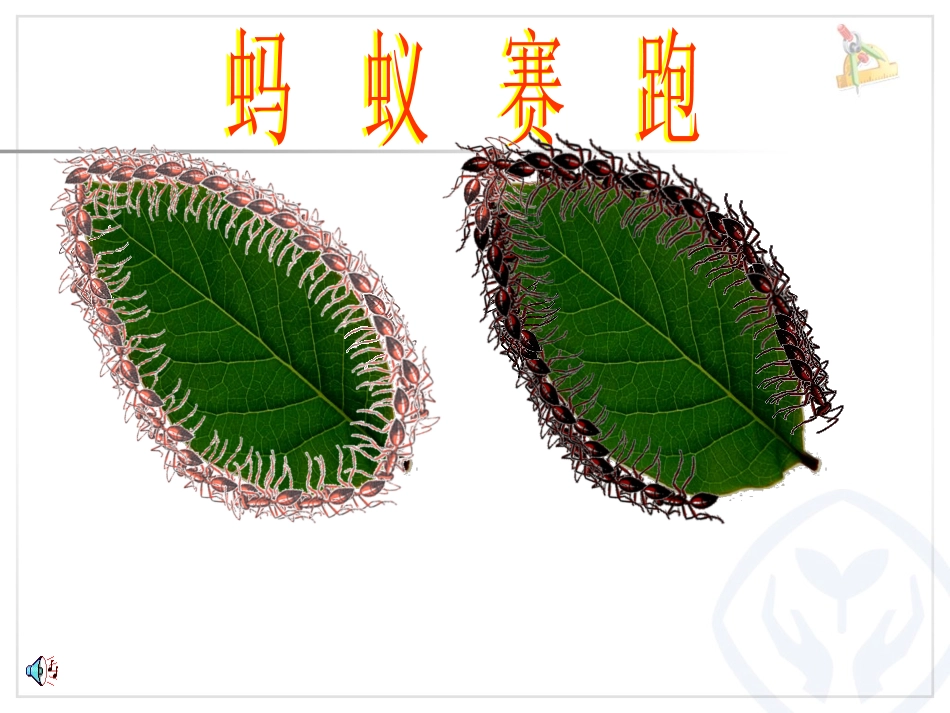 周长的认识 (2)_第3页