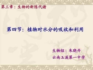 植物对水分的吸收(上课)