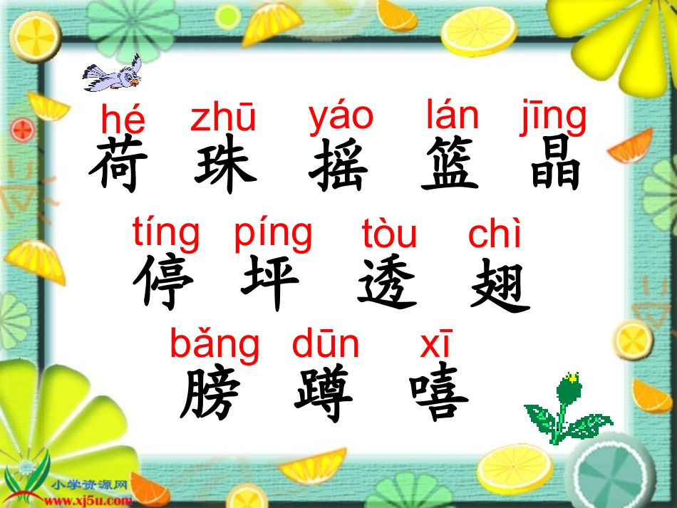 一年级语文下册第四组14.荷叶圆圆第一课时课件_第3页