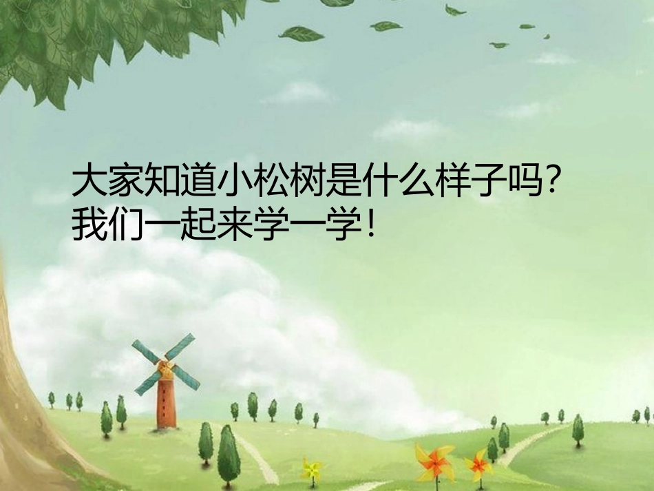 集体舞《小松树》课件_第3页