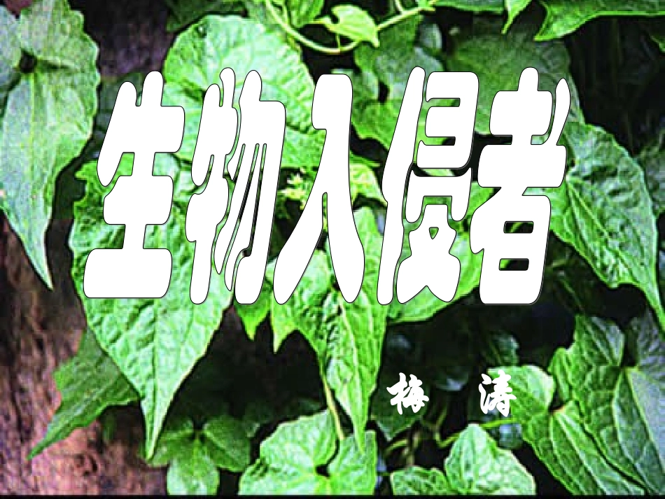 陈丹生物入侵者课件_第2页