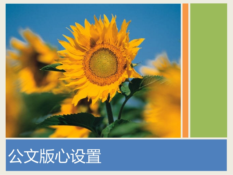 公文版心设置教学幻灯片_第1页