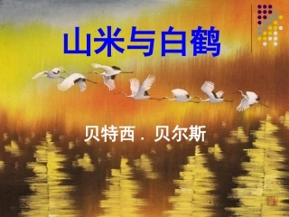 山米与白鹤-(1)