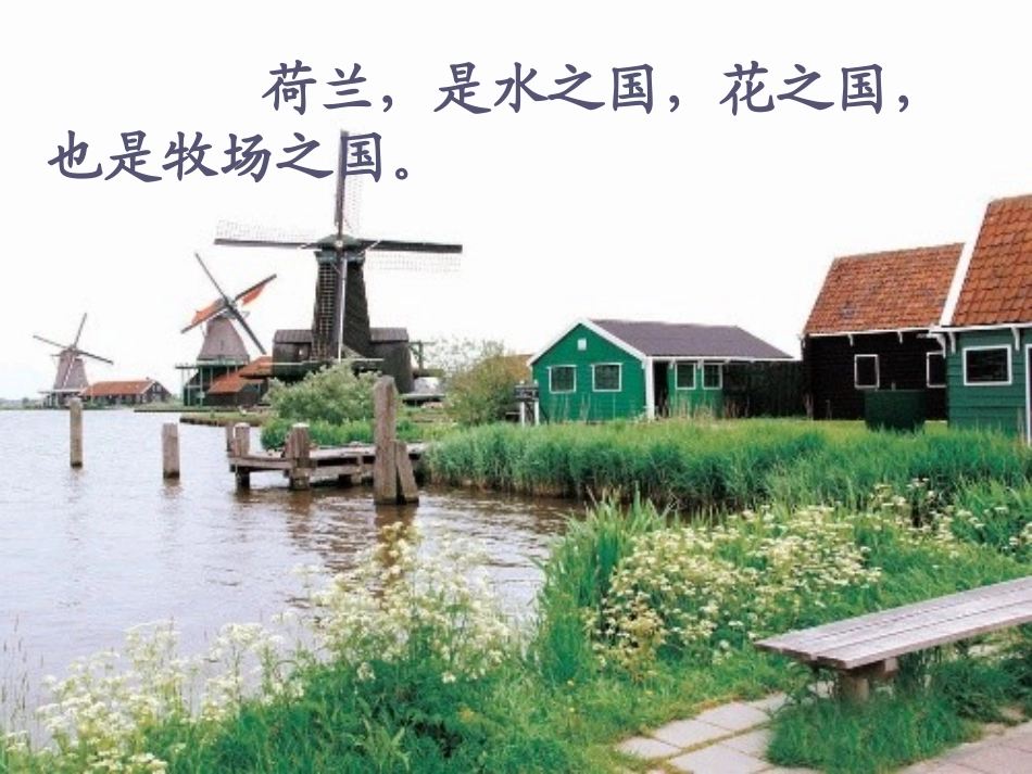 牧场之国张伟红_第3页