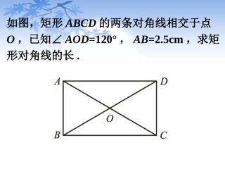课外练习3-矩形