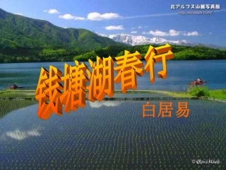 白居易《钱塘湖春行》课件