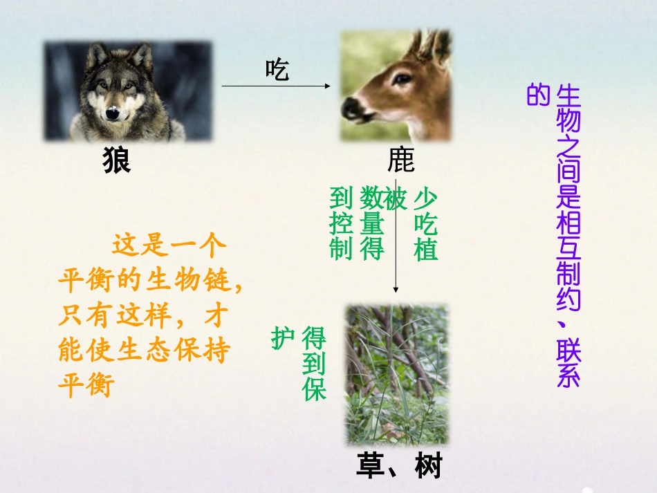 《鹿和狼的故事》问题探究_第2页