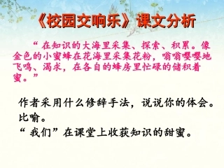《校园交响乐》课文分析