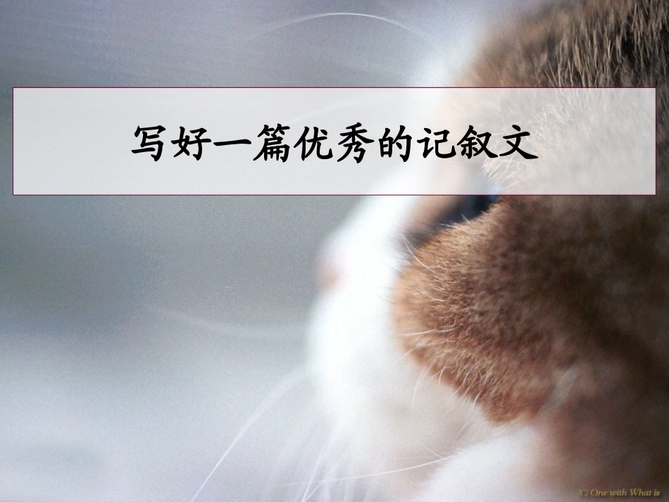 写一篇优秀的记叙文_第1页