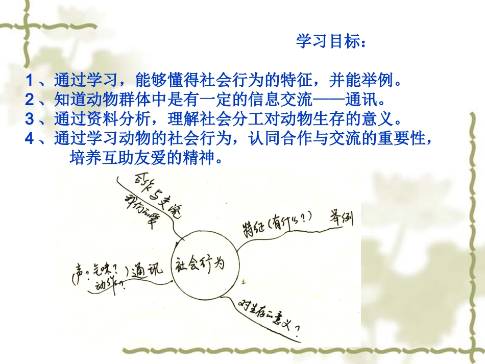 初中二年级生物上册第五单元-第二章-动物的运动和行为第三节-社会行为第一课时课件_第2页