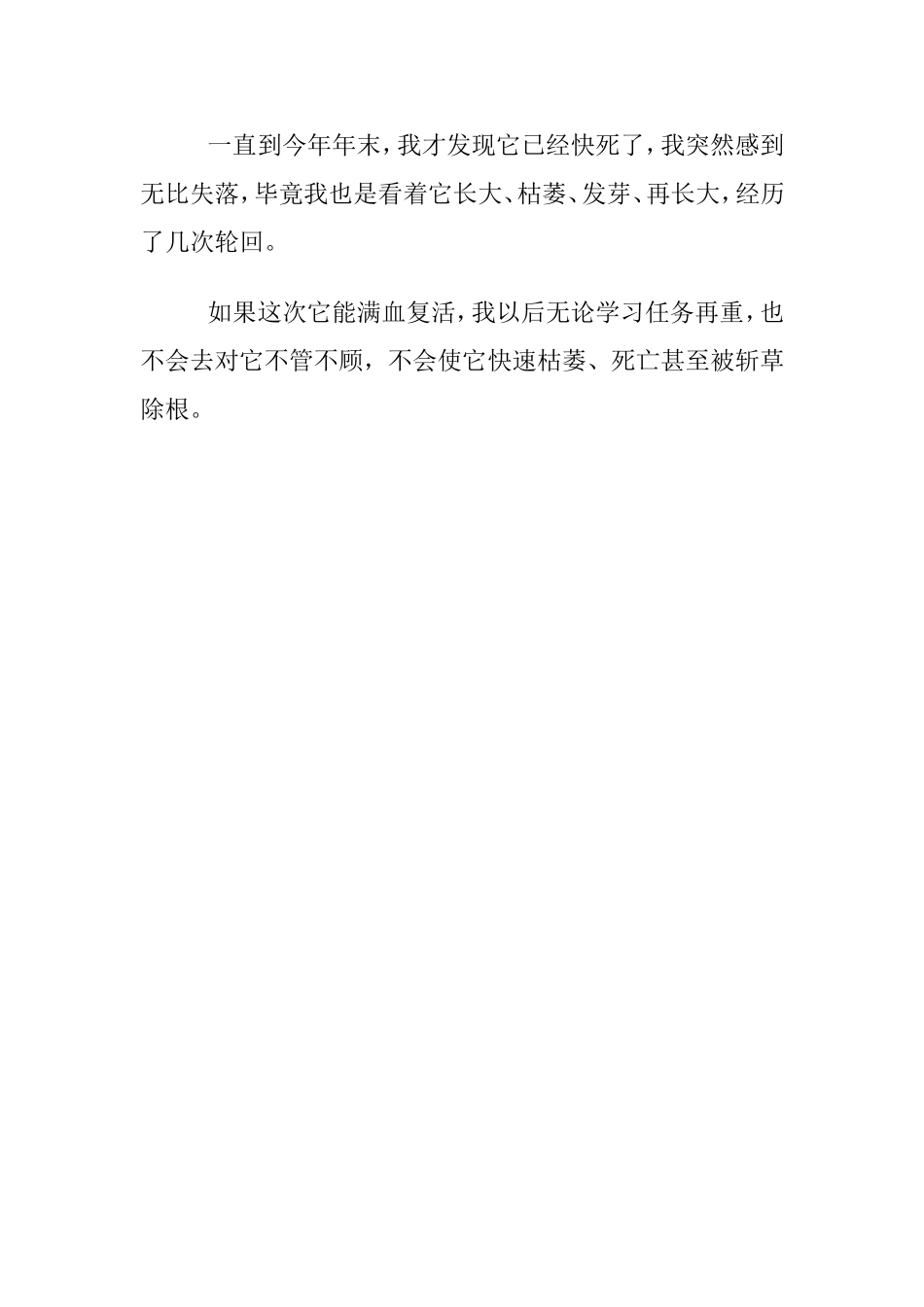 我的滴水观音_第2页