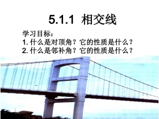 5.1.1相交线.1.1相交线-(3)