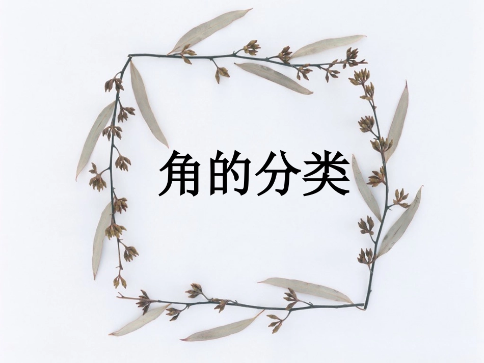 角的分类12PPT_第1页