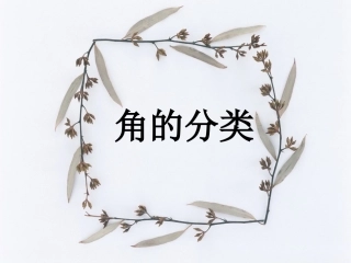 角的分类12PPT