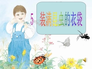 5装满昆虫的衣袋课件