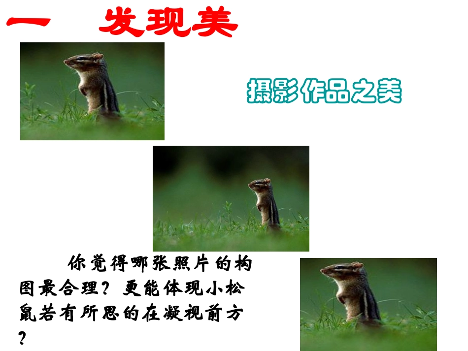 217黄金分割课件_第3页