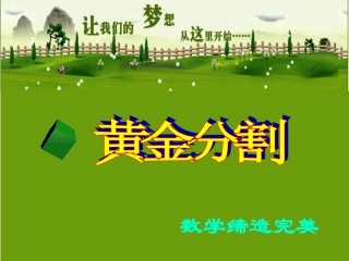 217黄金分割课件