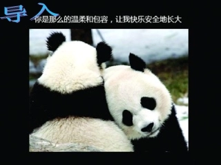 国宝——大熊猫课件