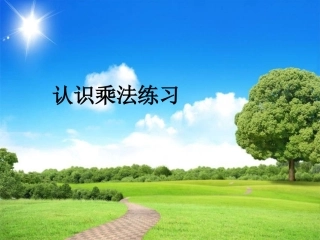 苏教版认识乘法练习第一课时