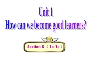 SectionB1