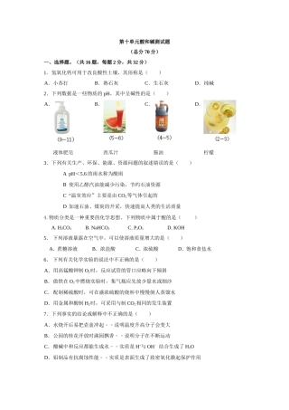 九年级化学第十单元测试题