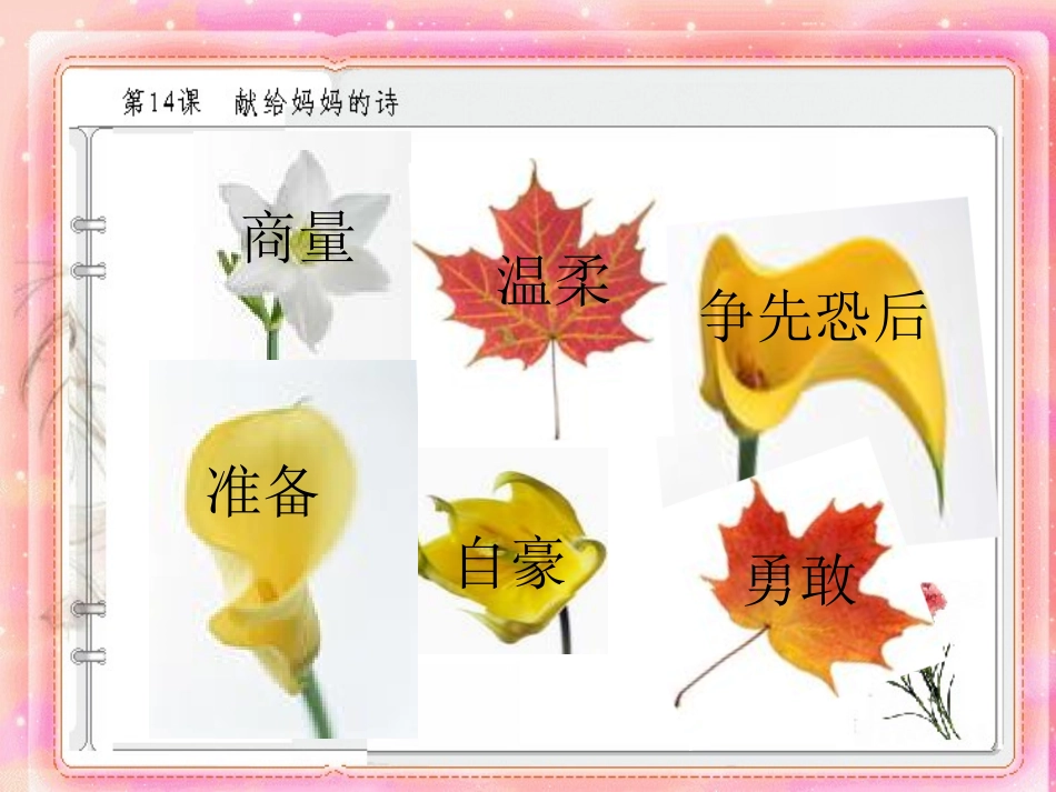 献给母亲的诗_第3页