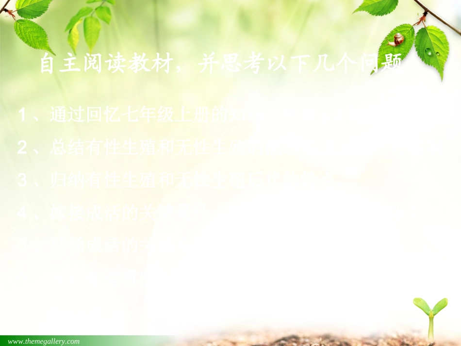 (2013新人教版八年级下册)植物的生殖PPT_第3页