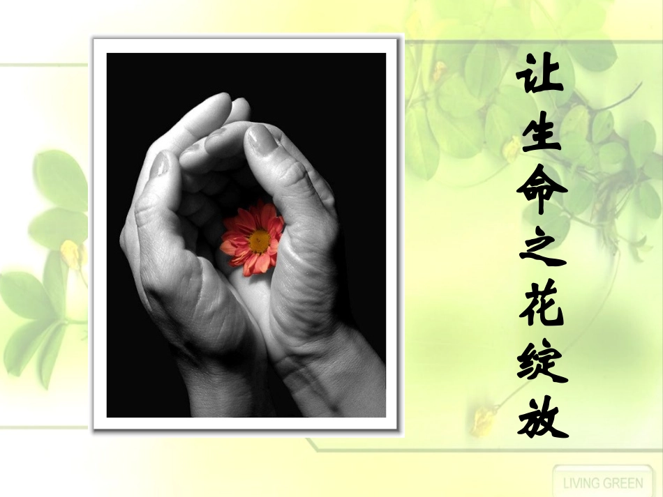 让生命之花绽放(冉)_第1页