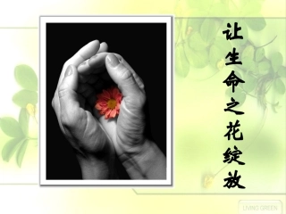 让生命之花绽放(冉)