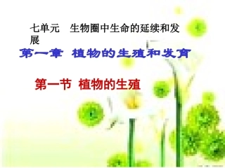 植物的生殖和发育课件