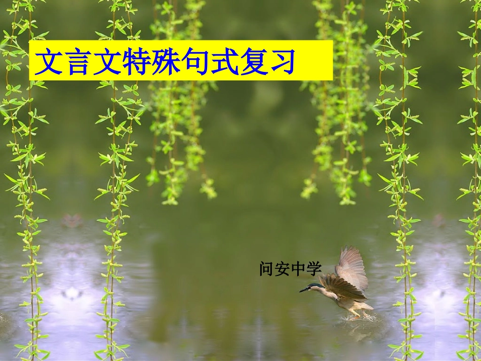 了解几种文言句式特点_第1页