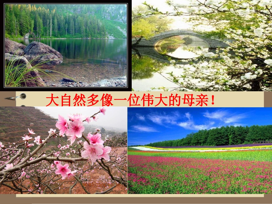 六年级语文下册《孔子游春(上课用)》刘超_第2页