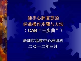 心肺复苏与异物卡喉标准操作步骤(2012年版)