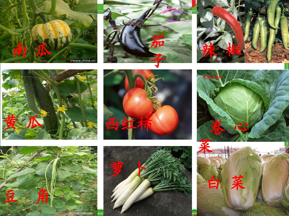 、一次比一次有进步_第2页