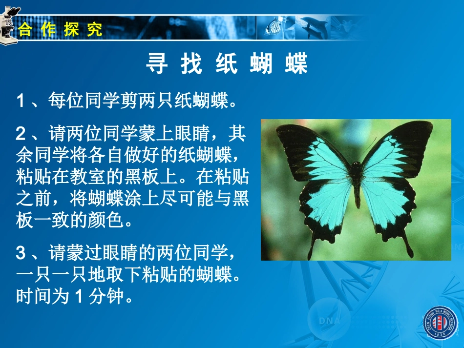 2.2.4生物对环境的适应_第3页