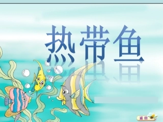 北师大版《热带鱼》.ppt0