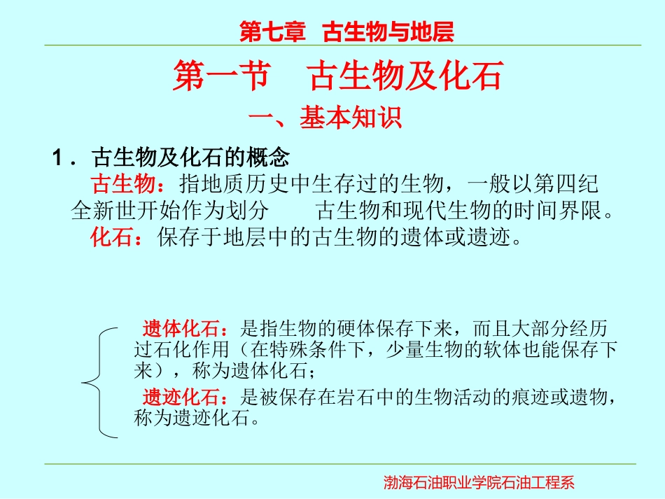 古生物及地层_第2页