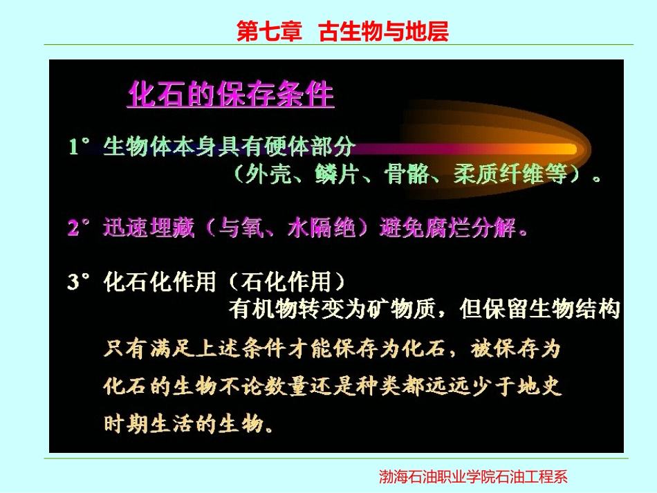 古生物及地层_第3页