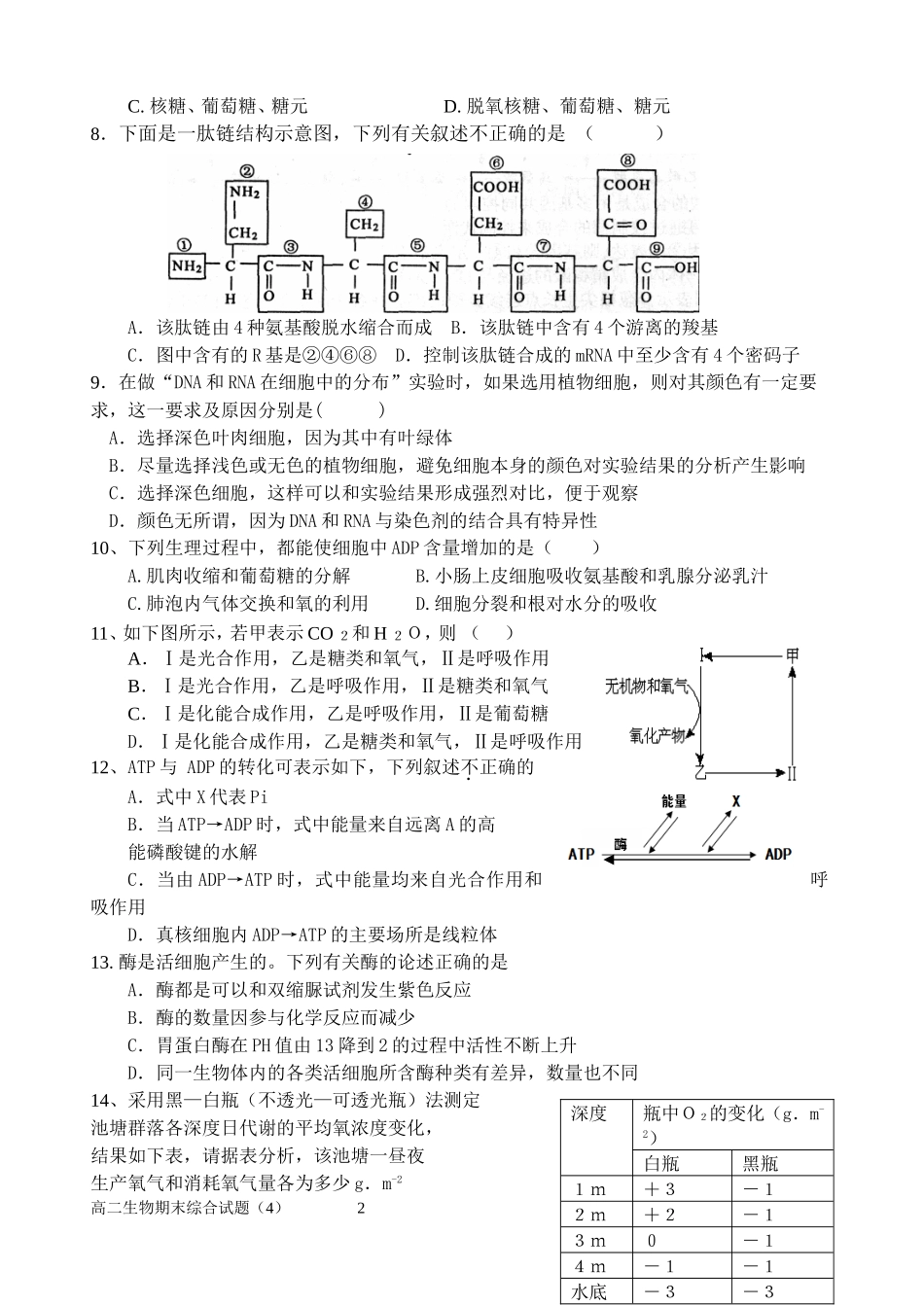 2015.7期末考试模拟练习四)_第2页