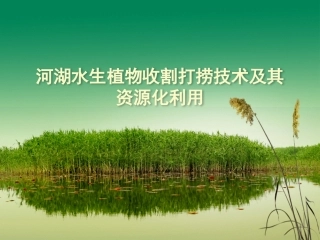 水生植物采收与资源化利用