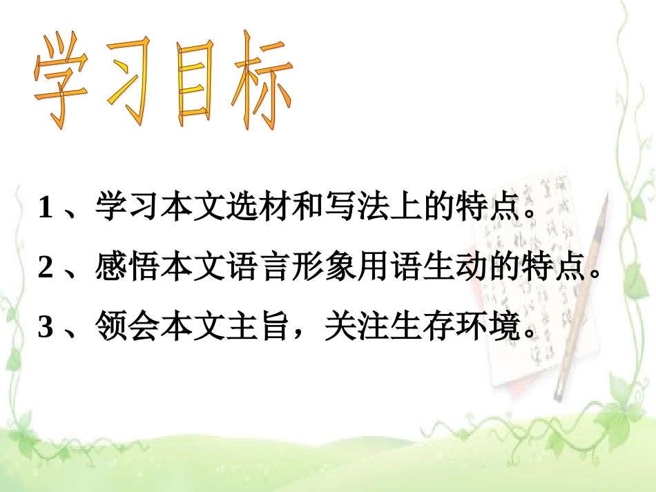 苏教版语文八年级上册《都市精灵》优秀实用课件：19页_第2页