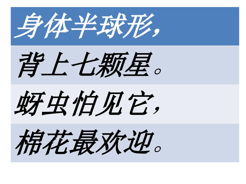 8瓢虫的花衣裳_第1页