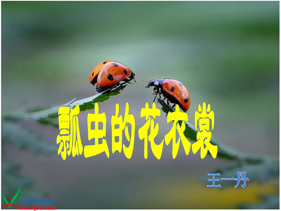 8瓢虫的花衣裳_第2页