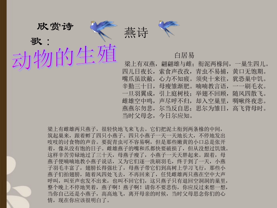 八年级生物上册《动物的生殖》课件1-苏科版_第1页