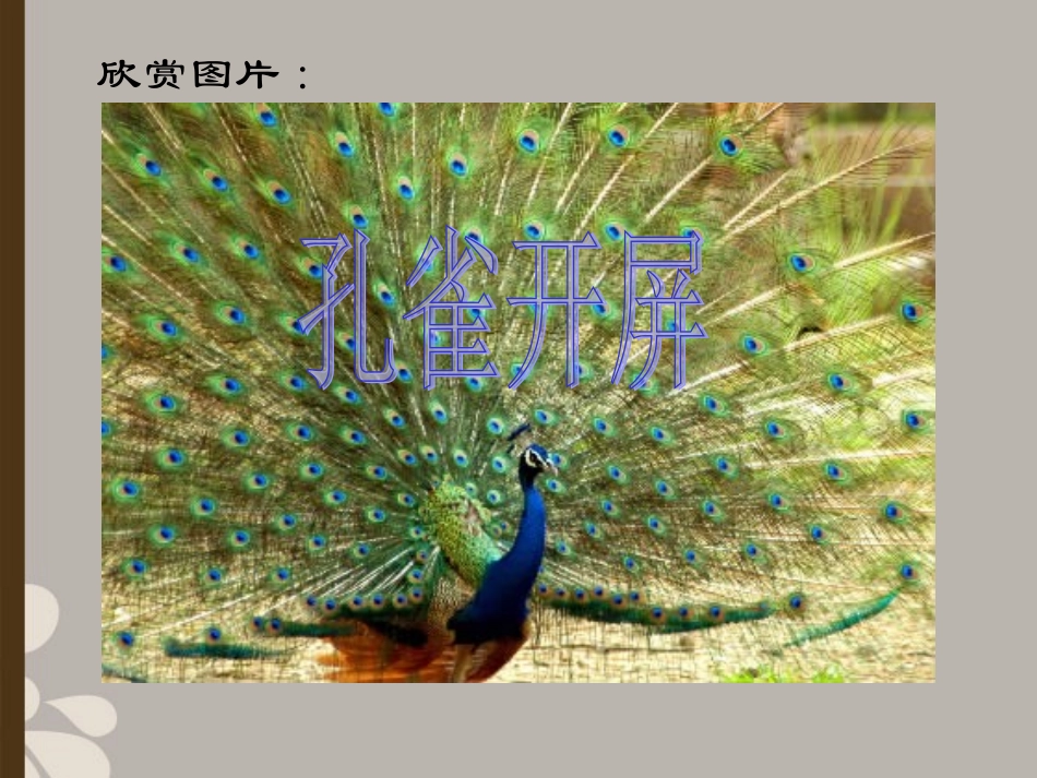 八年级生物上册《动物的生殖》课件1-苏科版_第2页