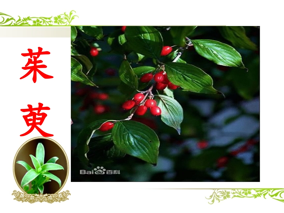 九月九日忆山东兄弟 (2)_第3页