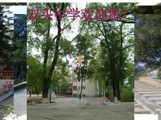 1.成比例线段(一)