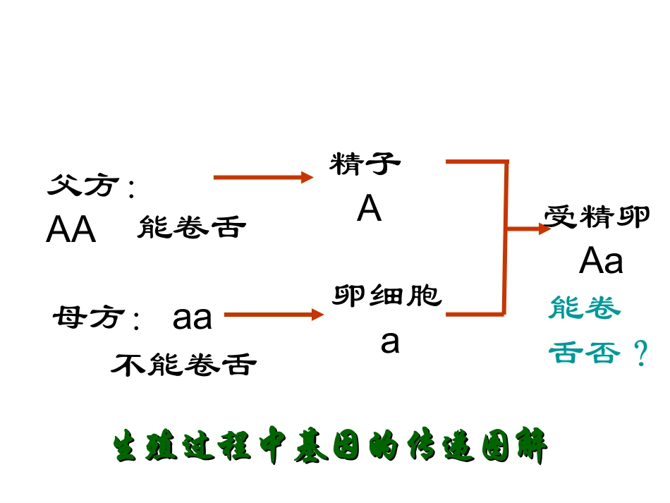 基因的显性和隐性_第2页