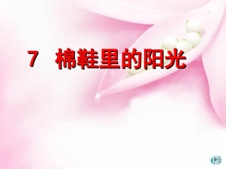 7棉鞋里的阳光